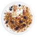 Low Karb NuTrail Keto Blueberry Nut Granola - Low Carb Healthy Breakfast Cereal with Almonds, Pecans, and Coconut - 3g Net Carbs - 22oz - Buy Online on GoSupps.com
