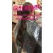 Framar Disposable Bib Capes | Salon Clients & Chair Protection from Hair Dye | 50 Pack - Buy Online on GoSupps.com