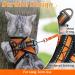 Rabbitgoo Cat Dishes & Cat Linen Set - Adjustable Soft Leash with Reflective Stripes for Cats & Kittens - Bright Orange (1 Pack) - Buy Online on GoSupps.com