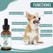 Hemp Oil for Dogs & Cats - Natural Anxiety & Stress Relief for Dogs & Cats - Hip & Joint Supplement for Dogs - Pet Hemp Calming Drops - Hemp Oil for Calming Dog & Cat Treats - 1 fl oz Made in UK - Buy Online on GoSupps.com