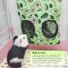 2 Pcs Rabbit Hay Feeder Hanging Hay Feeding Bag Hay Feeder Guinea Pig Storage Racks with 2 Holes Rabbit Hay Bags Pet Food Bags for Chinchilla Dutch Pig Mole (Small) - Buy Online on GoSupps.com