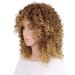 Buy Colourfulpanda Kinky Curly Afro Wig - Brown Blond Brazilian Synthetic Hair for Women | Short Ponytail Wigs for Black Women - Buy Online on GoSupps.com