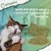 Cat Treats Catnip Bundle with 6 x Catnip Dreamies 60g, Avocado Catnip Ball, Dried Catnip Bag, Cattastic Facts, Play Activity Guide for Cats and Kittens - Gift Box included - Buy Online on GoSupps.com