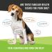 Vital Essentials Freeze Dried Dog Food Mini Nibs Beef - High-Quality Nutrition for Your Pet - Buy Online on GoSupps.com