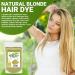 Buy Cassia Obovata Powder (Neutral Henna) - 100g | Natural Hair Conditioner Strength & Shine Boost Scalp Care - Buy Online on GoSupps.com