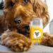NutriPaw Nourishing Balm for Dogs & Cats - Soothes & Moisturizes Dry Skin on Snout & Paws - Easy to Apply - All Ages & Breeds - Buy Online on GoSupps.com