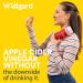 Wellgard Vegan Apple Cider Vinegar Gummies Gold Standard 1000mg ACV Gummies with Vitamin C Chromium and Pomegranate Non-GMO Gluten-Free & Gelatine-Free - Buy Online on GoSupps.com
