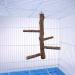Filhome Bird Perch Stand Toy | Natural Wood Parrot Cage Branch | For Parakeets, Cockatiels, Conures, Macaws | 10 Length - Buy Online on GoSupps.com