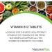 NaturesPlus Vitamin B12 (Methylcobalamin) 500mcg - 90 Vegetarian Tablets | High Potency Red Blood Cell Support & Energy Booster - Gluten-Free - Buy Online on GoSupps.com