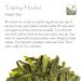Taiping Houkui Monkey Chief Tee - Premium Chinese Green Tea 25g | Authentic Tai Ping Hou Kui Bio Green Tea - Buy Online on GoSupps.com
