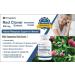Trexgenics Red Clover 500mg - Vegan & Gluten Free Women's Health Support - 60 Vcaps - Buy Online on GoSupps.com