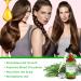 Premium Rosemary Oil for Hair Growth 120ml | Essential Oil for Thinning Damaged Hair - Includes Silicone Scalp Massager - Buy Online on GoSupps.com