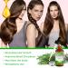 Organic Rosemary Oil for Hair Growth | 4.04 Fl Oz with Scalp Massager | Pure Essential Oil for Eyelashes Eyebrows & Skin Care - Buy Online on GoSupps.com