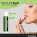 GreenIVe Vegan Hemp Lip Balm - Hydrating Moisturizer with Omegas 3 & 6 Vitamin E & L-Lysine - Handcrafted for Ultimate Care - Buy Online on GoSupps.com