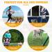 Ultimate Jogging Leash for Large & Medium Dogs | Pile Belt & Double Handle | Retractable Waist Belt - Orange - Buy Online on GoSupps.com