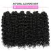Dansama GoGo Curl Crochet Braids - 14 Beach Wave Synthetic Hair Extensions (Pack of 6) #1B - Buy Online on GoSupps.com