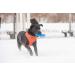 Puppia Dog Harness for Small & Medium Dogs - Super Soft & Colorful - Multi-Use as Puppy Dish - Atanizzzug Taverns for Dogs - XS Orange - Buy Online on GoSupps.com
