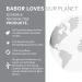 Doctor Babor Enzyme Peel Balm - Smooth Enlarged Pores Irregular Complexion & Hyperpigmentation | 75 ml - Heal Your Skin Globally - Buy Online on GoSupps.com