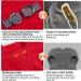BEAUTYZOO Dog Fleece Vest Sweater Winter Jacket with D-Ring Leash | XS Red - Buy Online on GoSupps.com