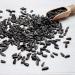 5kg Black Sunflower Seeds Wild Bird Food Sunflowers in Bucket (5kg) - Buy Online on GoSupps.com