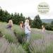 Organic Victoria's Lavender Don't Bug Me Insect Spray - 4 oz with Essential Oils & Aloe Vera - Buy Online on GoSupps.com
