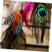 Lurrose 50pcs Peacock Tail Eye s Peacock s Peacock Tail s Peacock Eye s Crafts Natural - Buy Online on GoSupps.com
