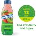 Snapple Naturally Flavoured Fruit Beverage Kiwi- Strawberry 473mL 12-Count Kiwi-Strawberry 1 Count (Pack of 12) - Buy Online on GoSupps.com