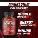 Triple Magnesium Complex 8600mg with Glycinate, Malate & Citrate - 11in1 Formula with Spinach & Swiss Chard - Supports Calm Mood & Muscle Cramp Relief - 120 Vegan Capsules - Buy Online on GoSupps.com