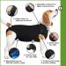 Suitical Original Recovery Suit - Professional Alternative to Dog Cone for Medium Dogs - Black - Buy Online on GoSupps.com