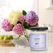 Essential Oil Candle | Lavender Vanilla Aromatherapy | All-Natural Soy | 9 Oz Glass Jar | 40 Hour Burn Time | Perfect Gift for Men & Women - Buy Online on GoSupps.com