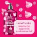 Hempz NEW Pink Peppermint Meringue Body Moisturizer Body Lotion Fall and Winter Skin Care for Men & Women Limited Edition 17 fl.oz. Pink Peppermint 17 Fl Oz (Pack of 1) - Buy Online on GoSupps.com