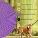 Aystkniet 30m Bungee Dog Leash - Shock-Absorbing Padded Handle Reflective Threads Lockable Hook - Perfect for Medium to Large Dogs - Purple - Buy Online on GoSupps.com