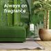 Glade PlugIns Refills Air Freshener Bamboo & Bliss Scented Oils 5 Count - 3.35 Fl Oz for Home & Bathroom - Buy Online on GoSupps.com