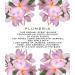 Botanical Beauty PLUMERIA WHIPPED BODY BUTTER with Shea Butter Cocoa Butter Coconut Oil for All Skin Types for Dry Sensitive Skin. Moisturizing Cream for Women Men (8 Fl Oz 240 ml) - Buy Online on GoSupps.com
