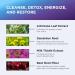 DR. EMIL NUTRITION Liver Support Supplement formulated to Cleanse Detox Repair & Support Healthy Liver Function with Milk Thistle Artichoke Leaf Dandelion Root & Beet Root Formula - Buy Online on GoSupps.com