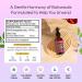 Ashwagandha and Saffron Supplement Contains KSM 66 and Saffron Extract Vegan Gluten-Free GMO-Free Daily Herbal Ashwagandha Supplement to Support Focus Clarity & Relaxation (Mixed Berry 60ml) - Buy Online on GoSupps.com