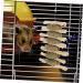 Levemolo Rabbit Biting Playthings Wooden Rabbit Chew Snack Animals Chewing Playthings - Buy Online on GoSupps.com