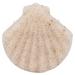 Exfoliating Face Puff Bath Dirt Removal Facial Sponge SkinFriendly for Home Travel for Adult for Skin Care for Children