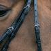 Shop Star Waldhausen Bridle Hannover in Black for Thoroughbreds | International Shipping Available - Buy Online on GoSupps.com