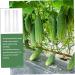 Parliky 3pcs Vegetable Shaping Mold Flower Shape Strawberry As Shown 20x6cm - Buy Online on GoSupps.com