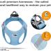 Buy Vest Harness Air-Mesh Sky Blue 2XS - No Curli D-Ring Buckle - International Shipping - Buy Online on GoSupps.com