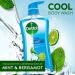 Dettol Cool Body Wash and Shower Gel Body Wash with Mint and Bergamot 16.90 Fl Oz (Pack of 1) Bergamot 16.9 Fl Oz (Pack of 1) - Buy Online on GoSupps.com
