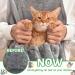 Plush Cat Carrier Apron Sling - Comfortable Pet Pouch for Cats and Small Dogs - Buy Online on GoSupps.com