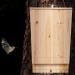 XL Bat Box Nesting Habitat | Solid Wood Garden Animal Shelter 55x35x7.5cm | Natural Untreated Wood - 10028879 - Buy Online on GoSupps.com