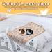 BWOGUE Guinea Pig Blanket 3 Pack - Small Animal Fleece Blankets - Soft and Warm Sleep Mat for Hamster, Rabbit, Cat - 23''x16'' - 3 Pack - Buy Online on GoSupps.com