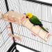 TeTupGa Hamster Bird Perches Cage Toys - Wooden Platform with Climbing Ladder and Swing - Ideal for Green Cheeks, Lovebirds, Chinchillas, and Budgies - Buy Online on GoSupps.com