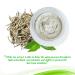 White Tea Mud Mask 100ml - Antioxidant Facial Treatment for Smooth Skin, Wrinkle Reduction, Deep Cleansing & Pore Minimizing - Buy Online on GoSupps.com
