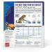 The Honest Kitchen Grain-Free Turkey Cat Food - 2lb Pack - Buy Online on GoSupps.com