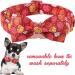 Unique Style Paws Halloween Dog Halison - Adjustable Cotton Pumpkin Dog Collar for Young Girls M (13.5-22in) | Comfortable Fly Collar with Metal Buckle - Buy Online on GoSupps.com