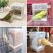 Jodsen Automatic Bird Feeder Pet Feeder Bird Cage Accessory Transparent Double Compartment Hanging Seed Food Container for Small Medium Budgerigar Parakeets Canary Cockatiel Finch Lovebirds(A) - Buy Online on GoSupps.com